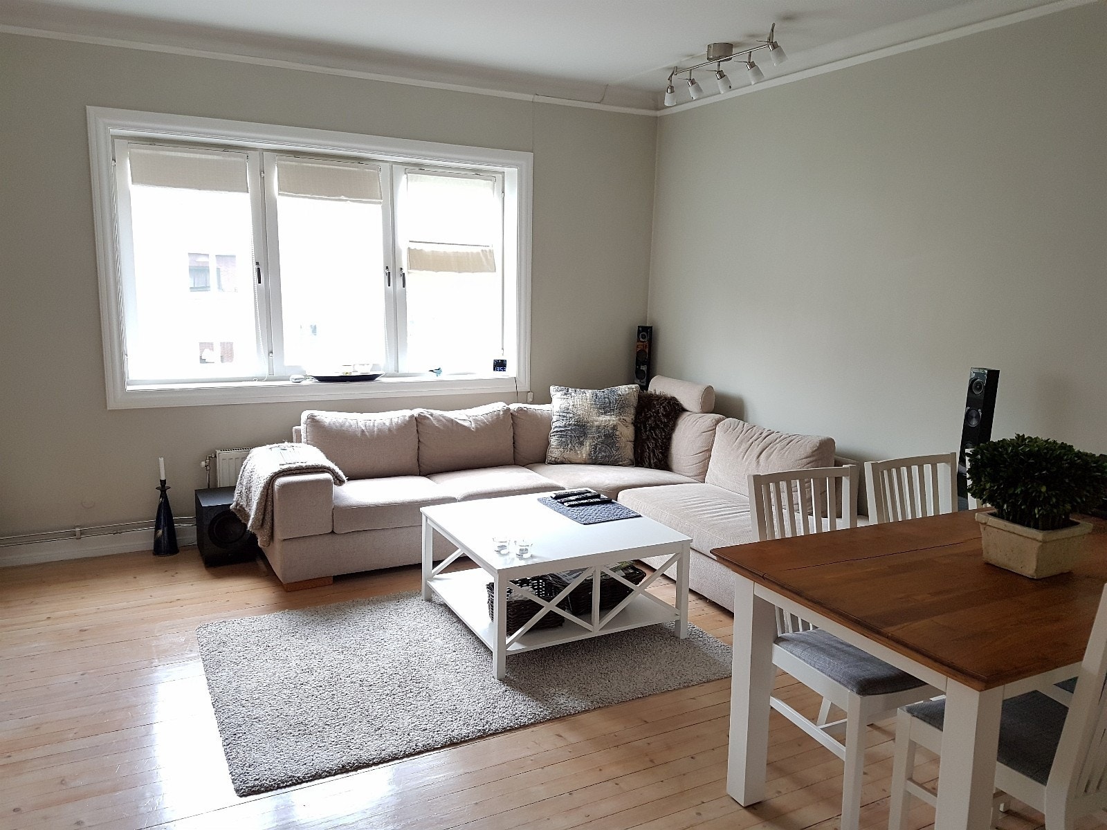 Stue ca. 30m2 Galleribilde