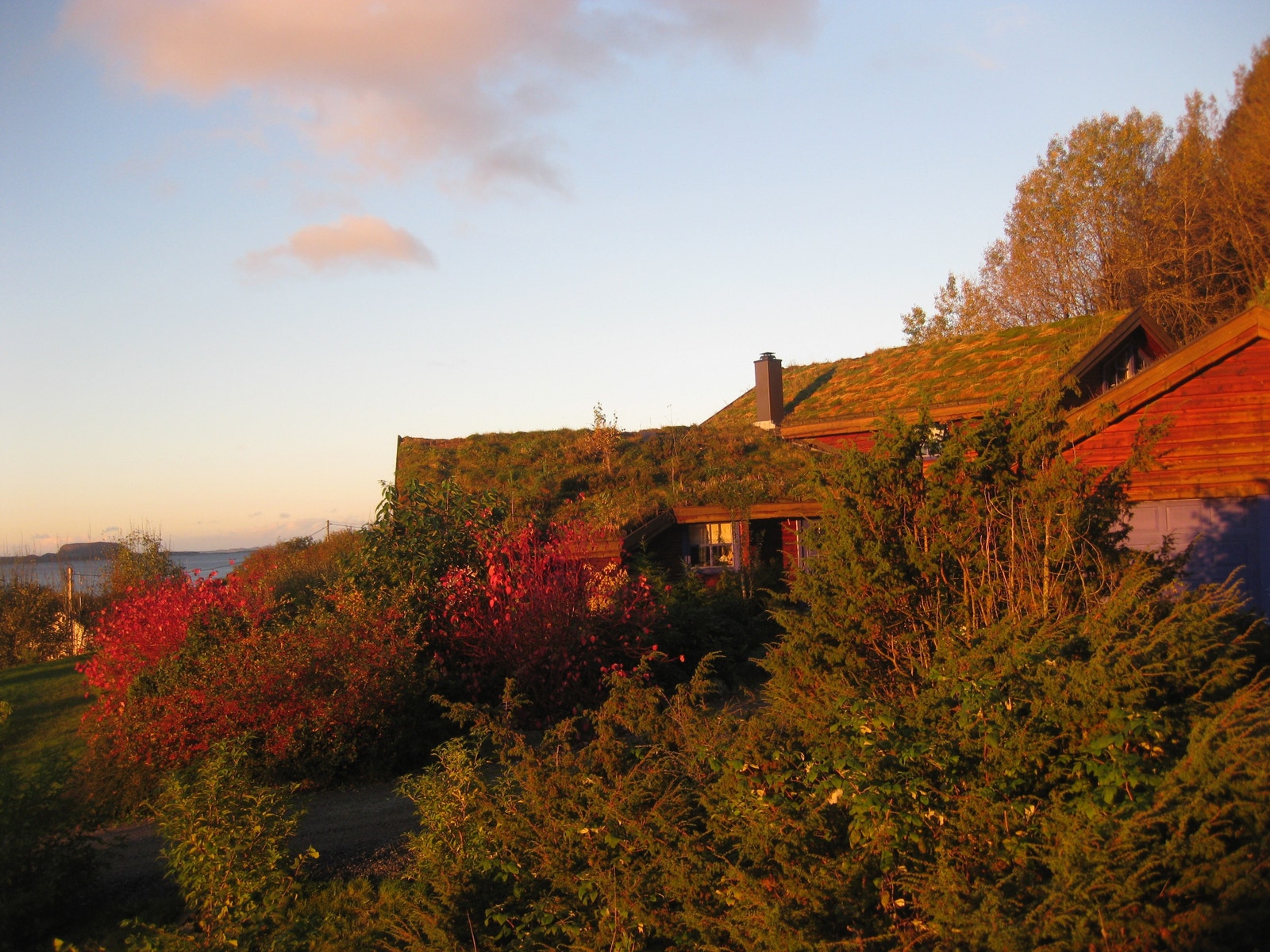 Utsikt mot vest frå oppkjørsel ca. 50m frå komm. veg Galleribilde