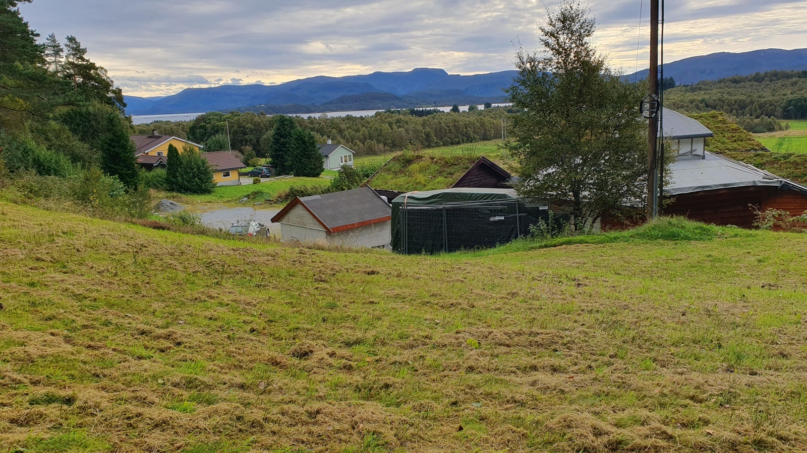 Utsikt mot Dalsfjorden mot sør-øst Galleribilde