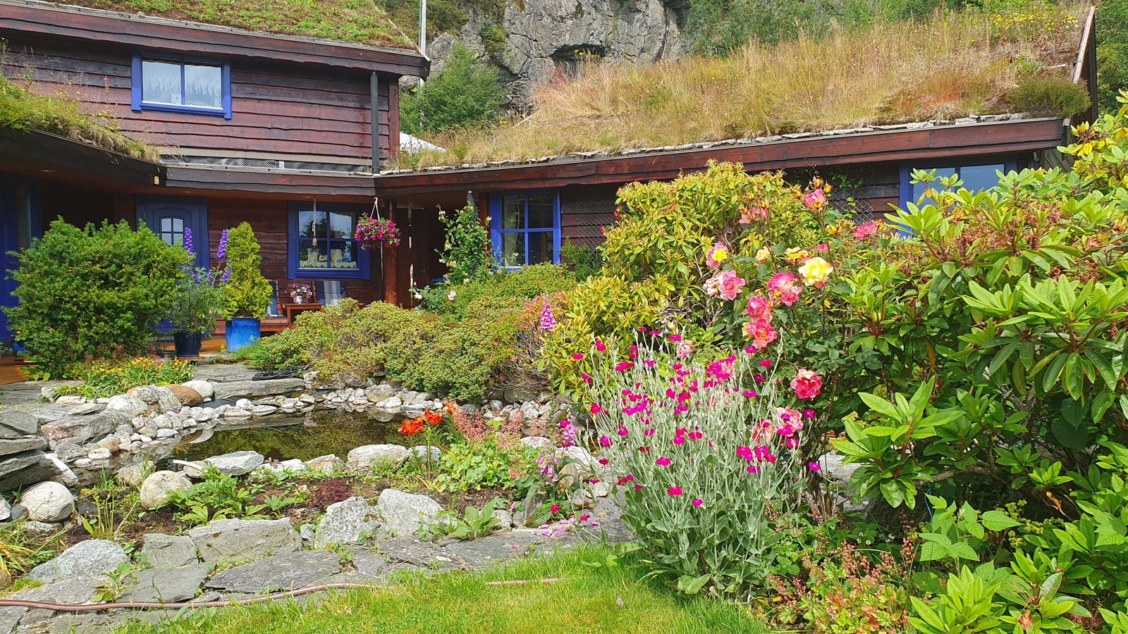 Del av hage mot inngangsparti Galleribilde