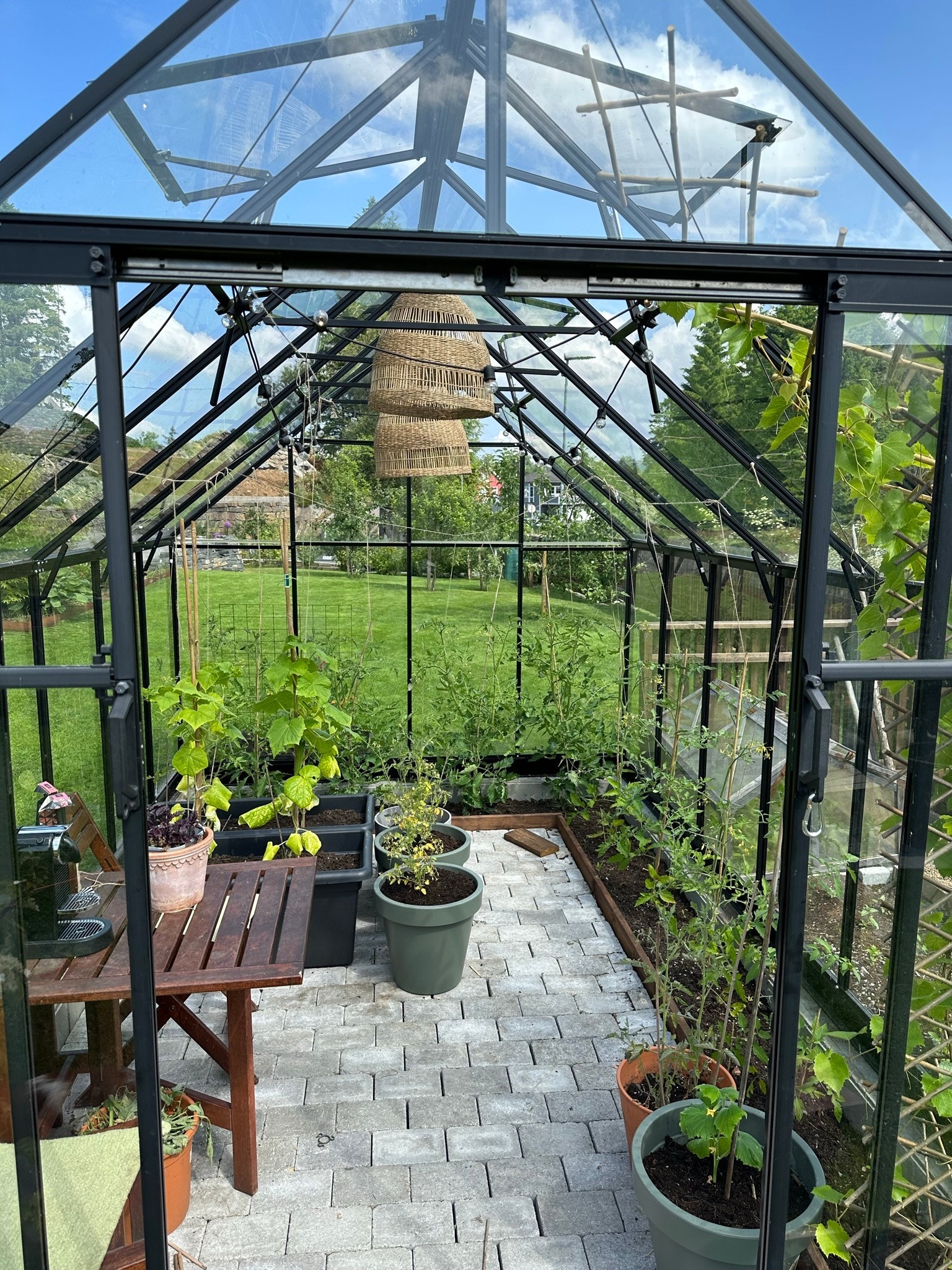 Drivhus, forhåpentligvis med modne tomater og agurker... Galleribilde