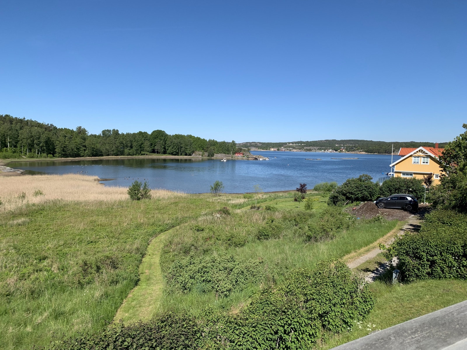 Utsikt fra veranda. Her ser du stien ned til brygga. Galleribilde