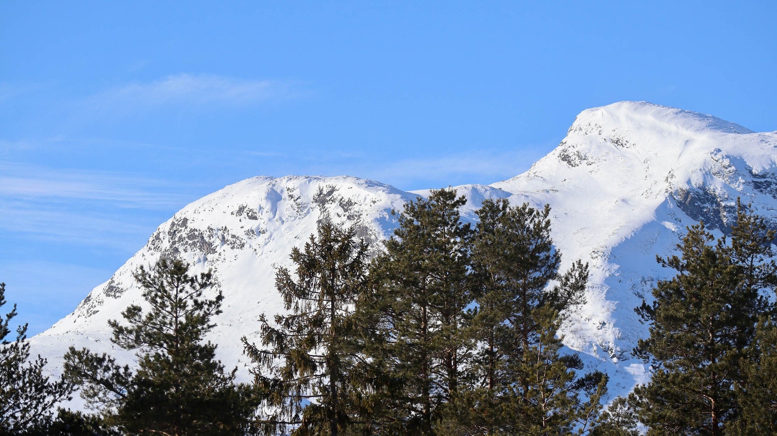 Utsikt fra boligen. Galleribilde