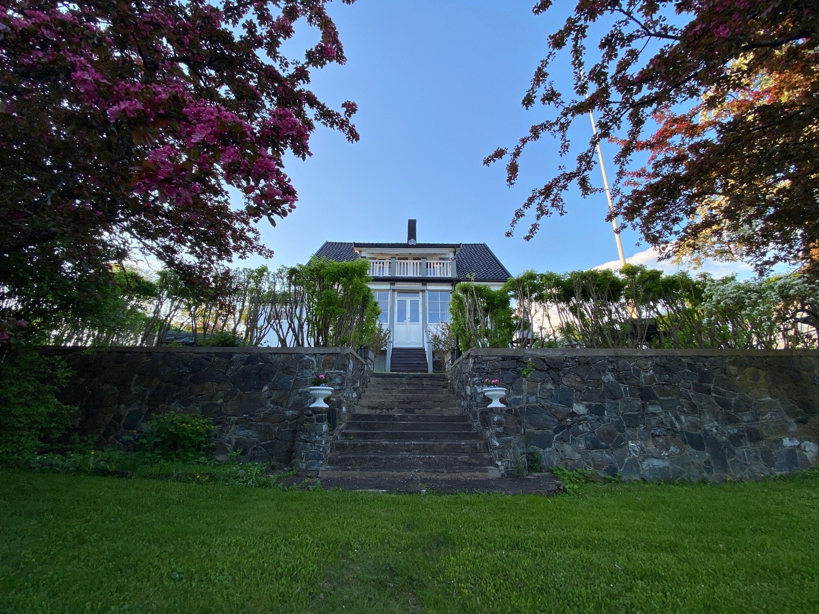 Fra nedre del av hagen sommer Galleribilde