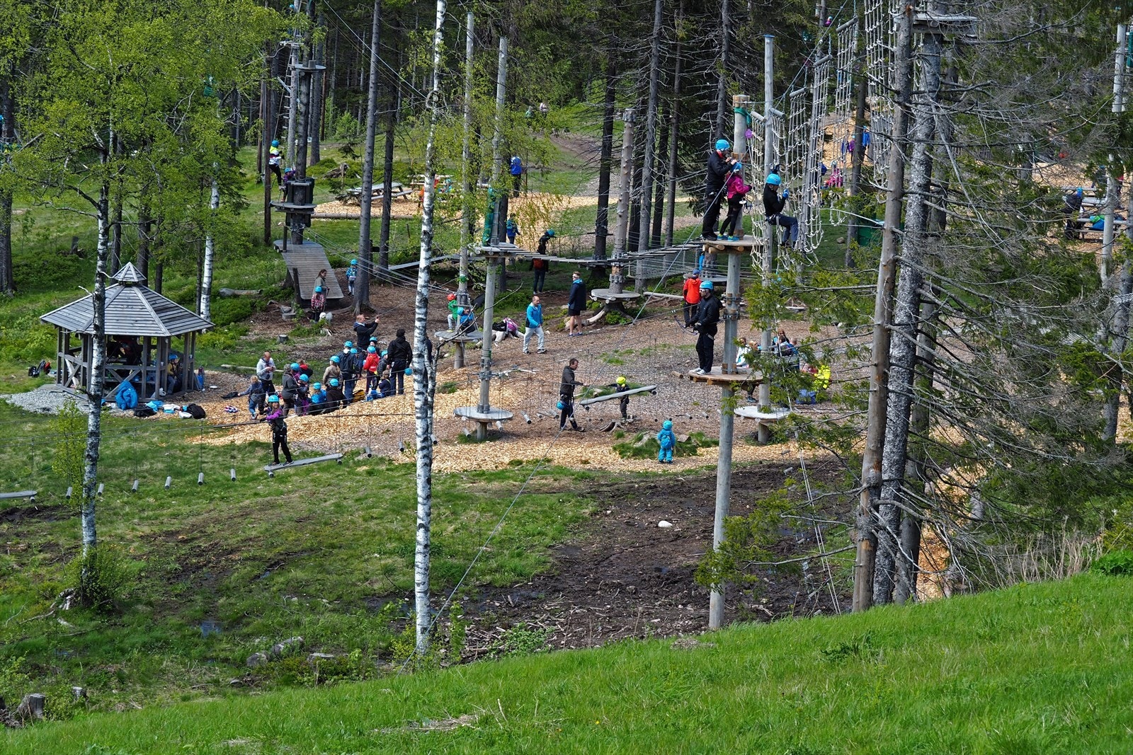 Høyt og lavt ved Tryvann om sommeren. Galleribilde