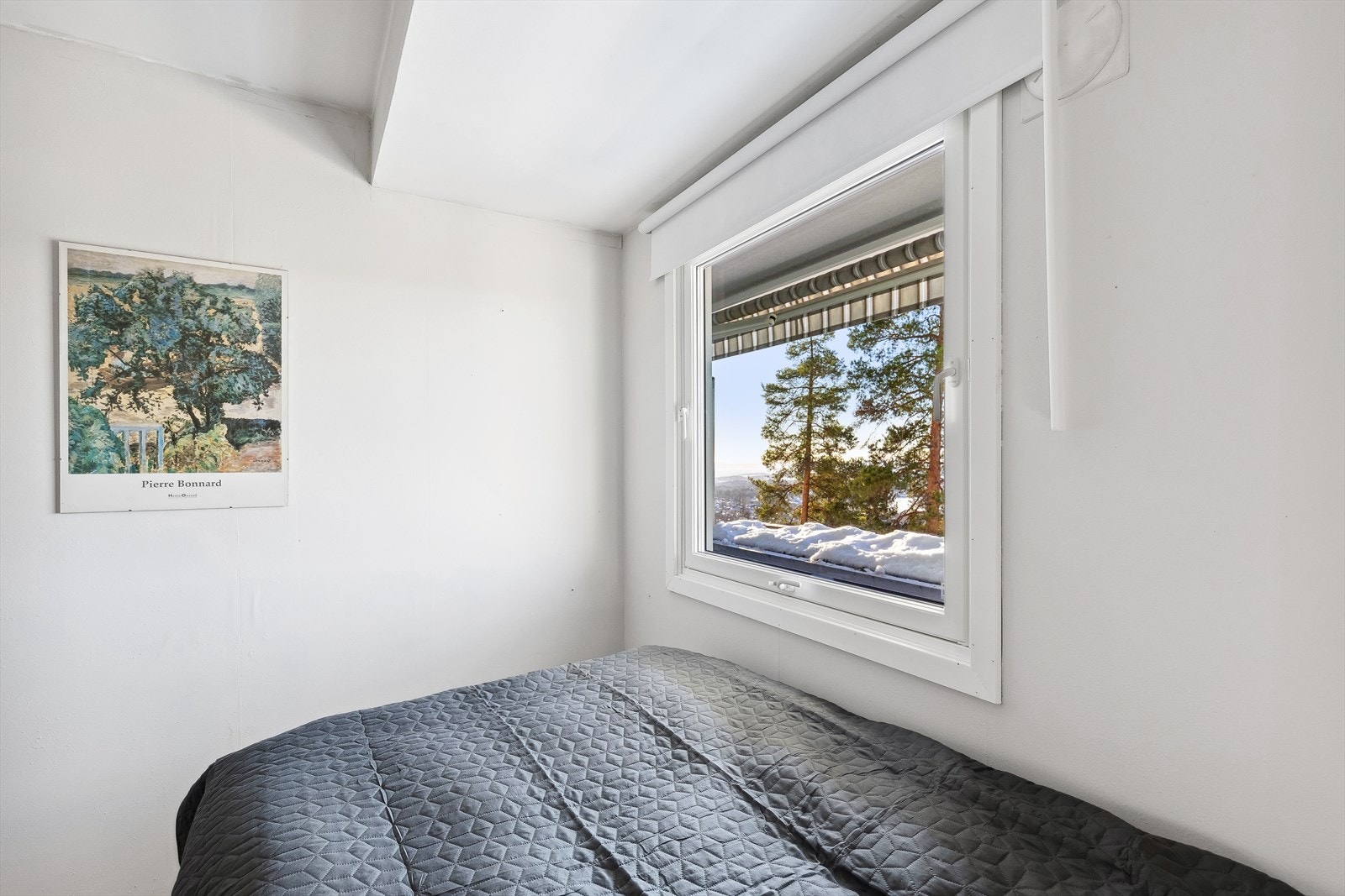 Våkne opp med denne utsikten. Galleribilde