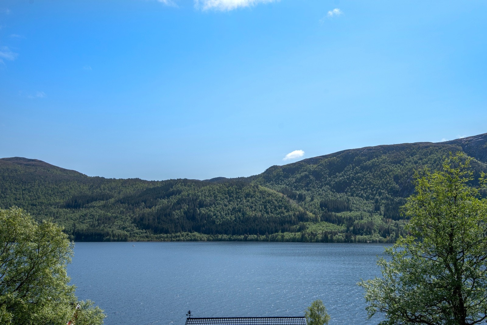Fantastisk utsikt mot Brusdalsvatnet og Emblemsfjellet fra takterrassen. Galleribilde