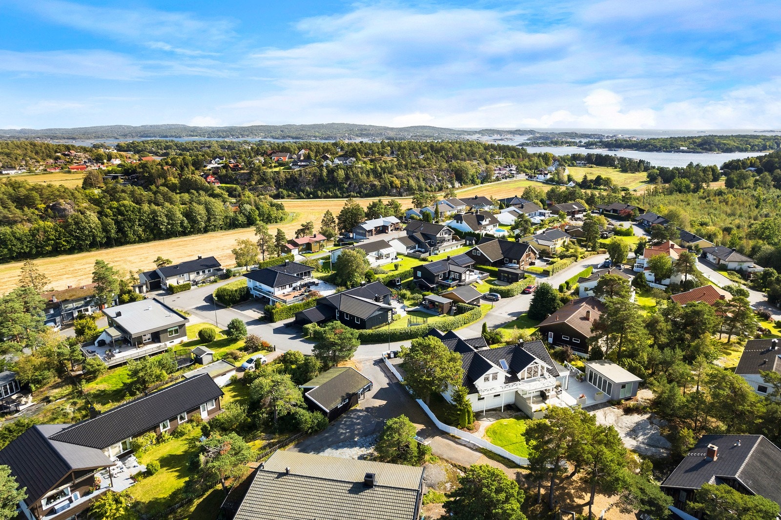 Områdebilde Galleribilde