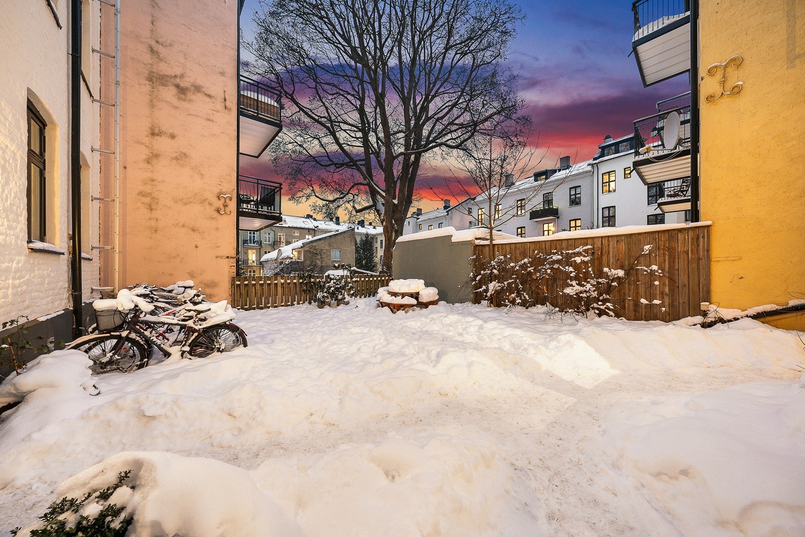 Skjermet gårdsrom med asfalt, gjerde, en sittebenk med bord, utendørs sykkelparkering og enkel beplantning. Galleribilde