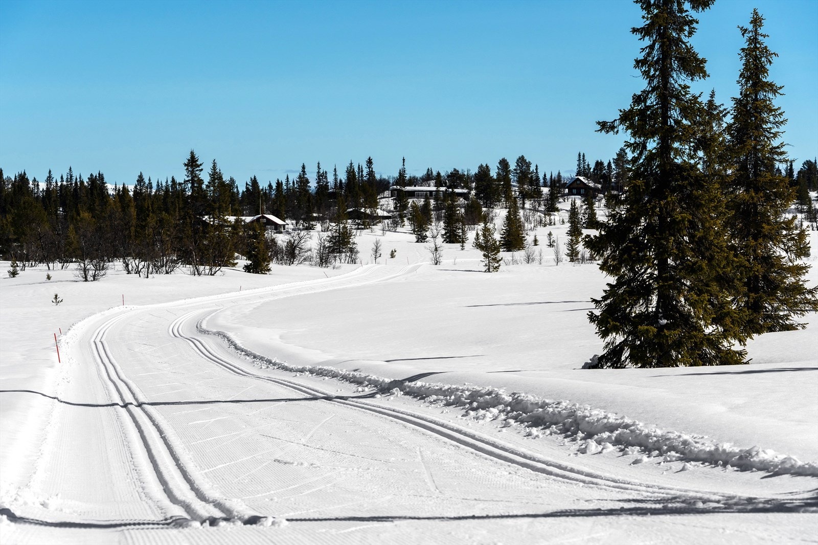 Langrennsløype og turstier i umiddelbar nærhet. Fint turterreng sommer som vinter Galleribilde