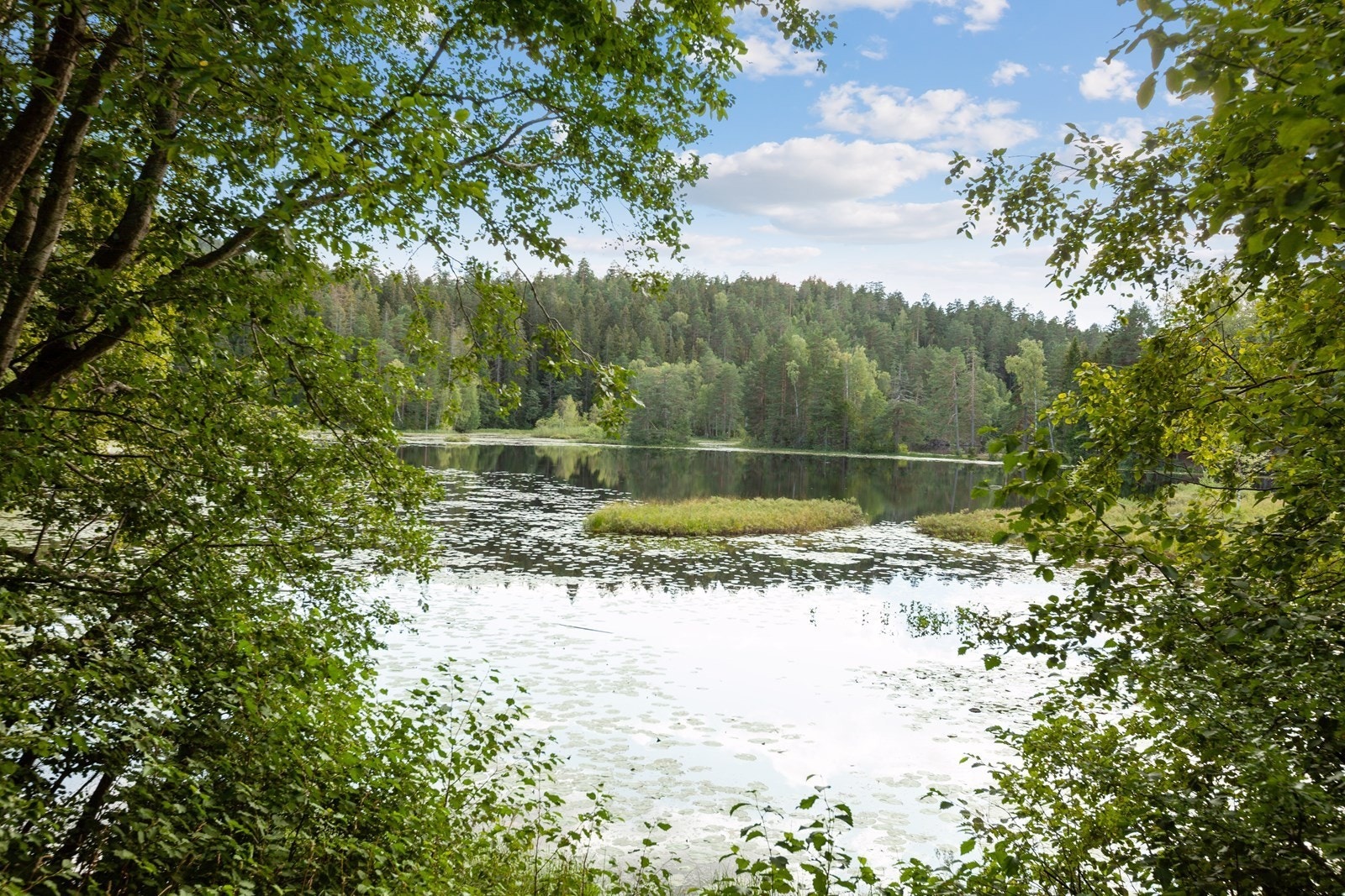 Idylliske Drengsrudvann ligger i kort gangavstand fra boligen Galleribilde