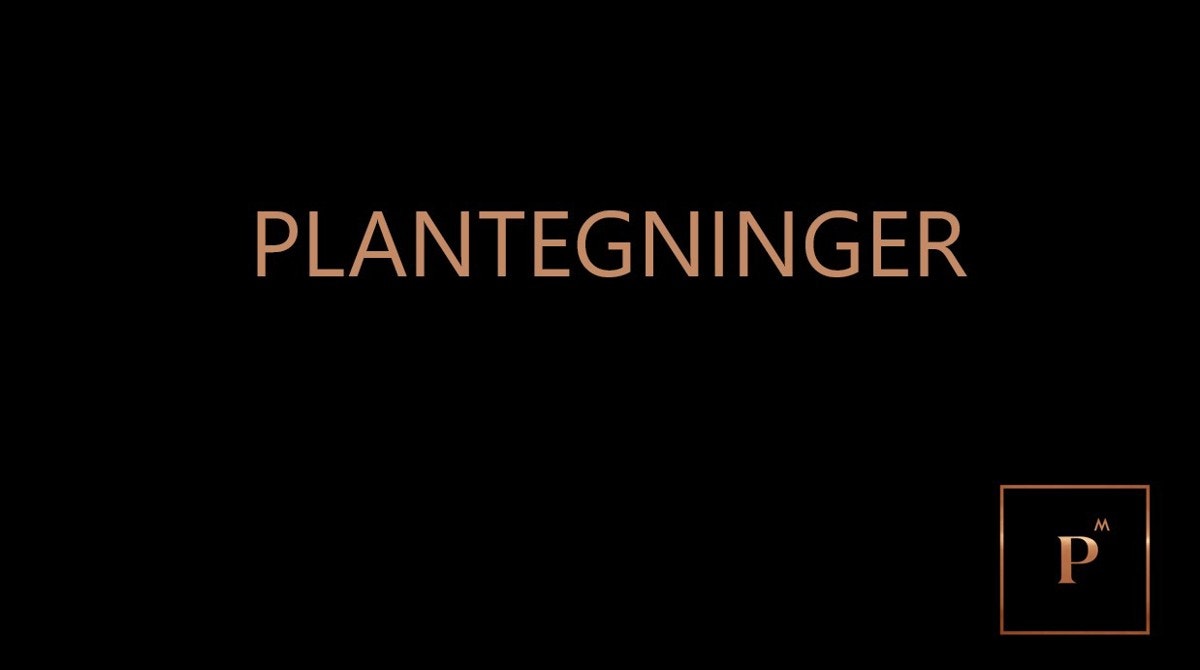 Romdeler plantegninger Galleribilde