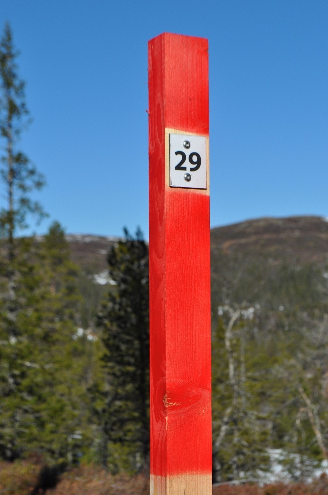 Tomtene er på ca. ett dekar med mulighet for punkt eller arealfeste Galleribilde