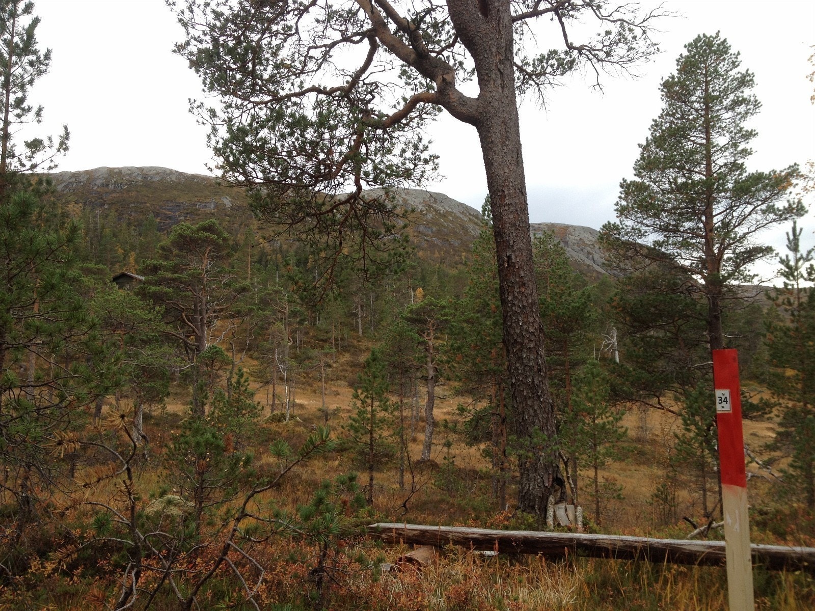 Utsikt mot sør-vest fra tomt 34 Galleribilde