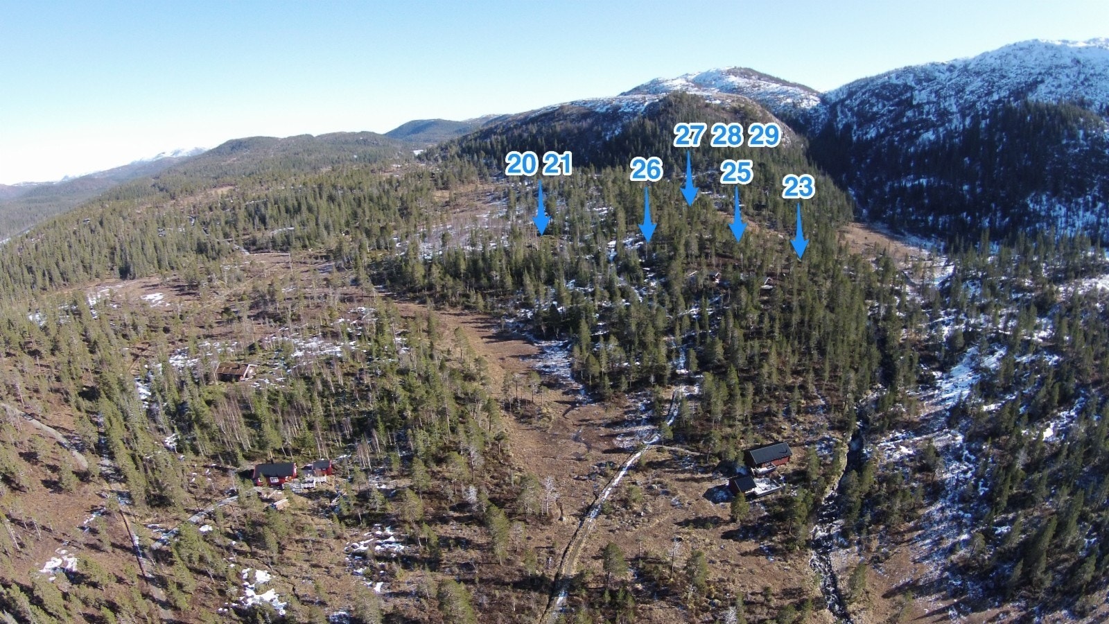 Vassdølin hytteområde har et luftig fjellskogpreg i et variert og flott landskap 250-300 moh. Galleribilde