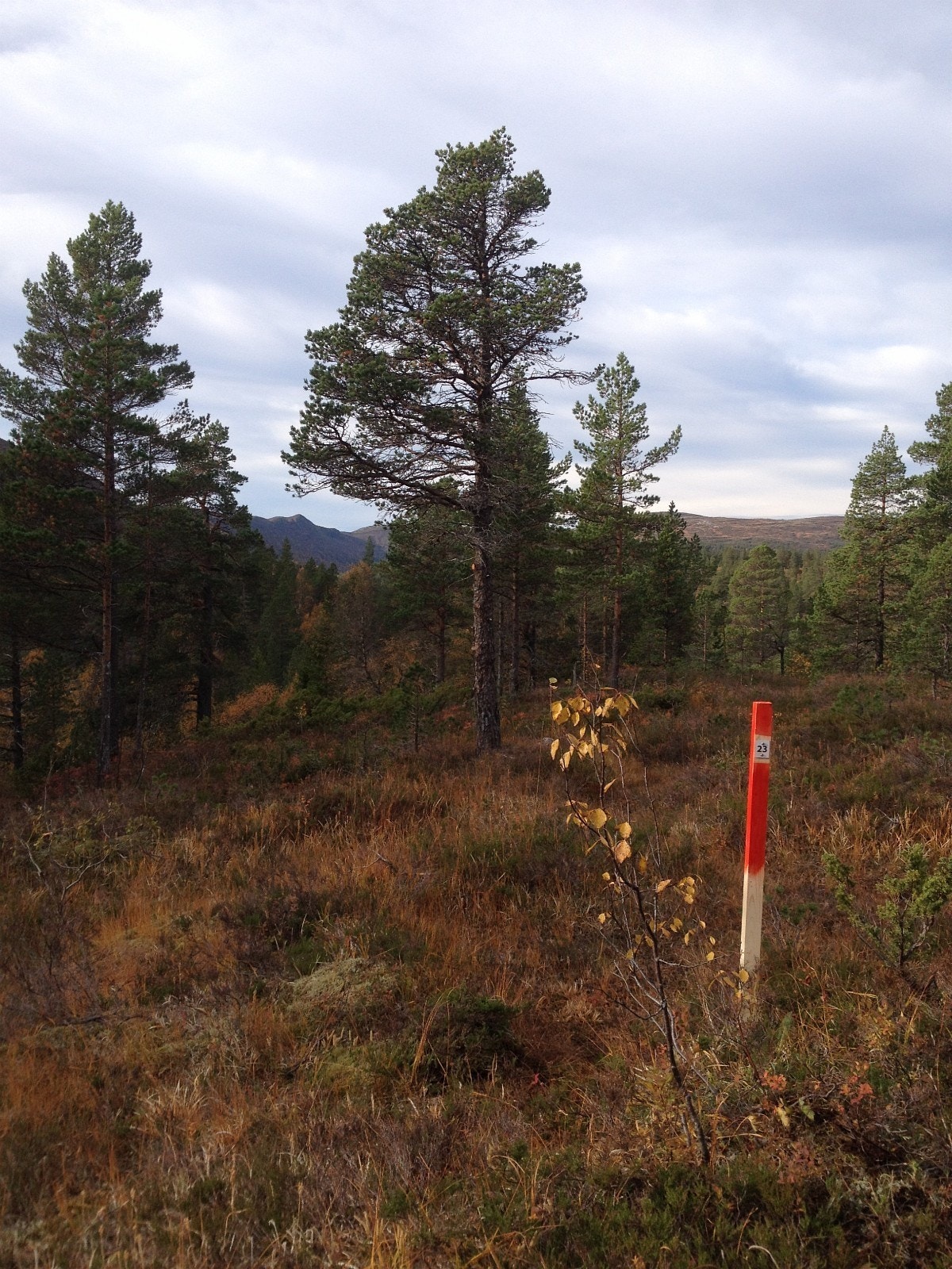 Utsikt mot vest fra tomt 23 Galleribilde