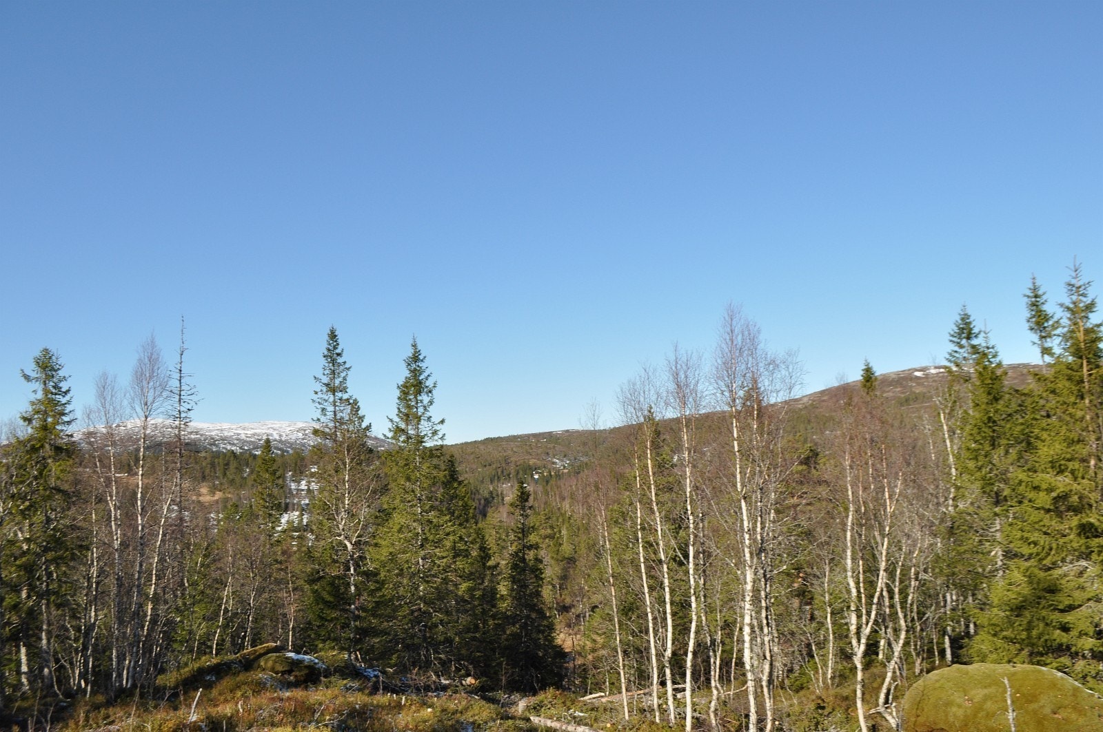 Fra tomt 26. Bildeutsnitt vridd ytterligere til høyre iforhold til forrige bilde Galleribilde