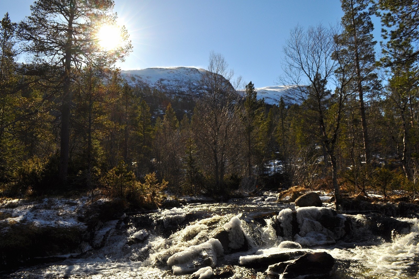 Kommunen og området Vassdølin ligger i har rikelig med fjell og fiskevatn, skogsområder og dalfører med elver og bekkefar Galleribilde