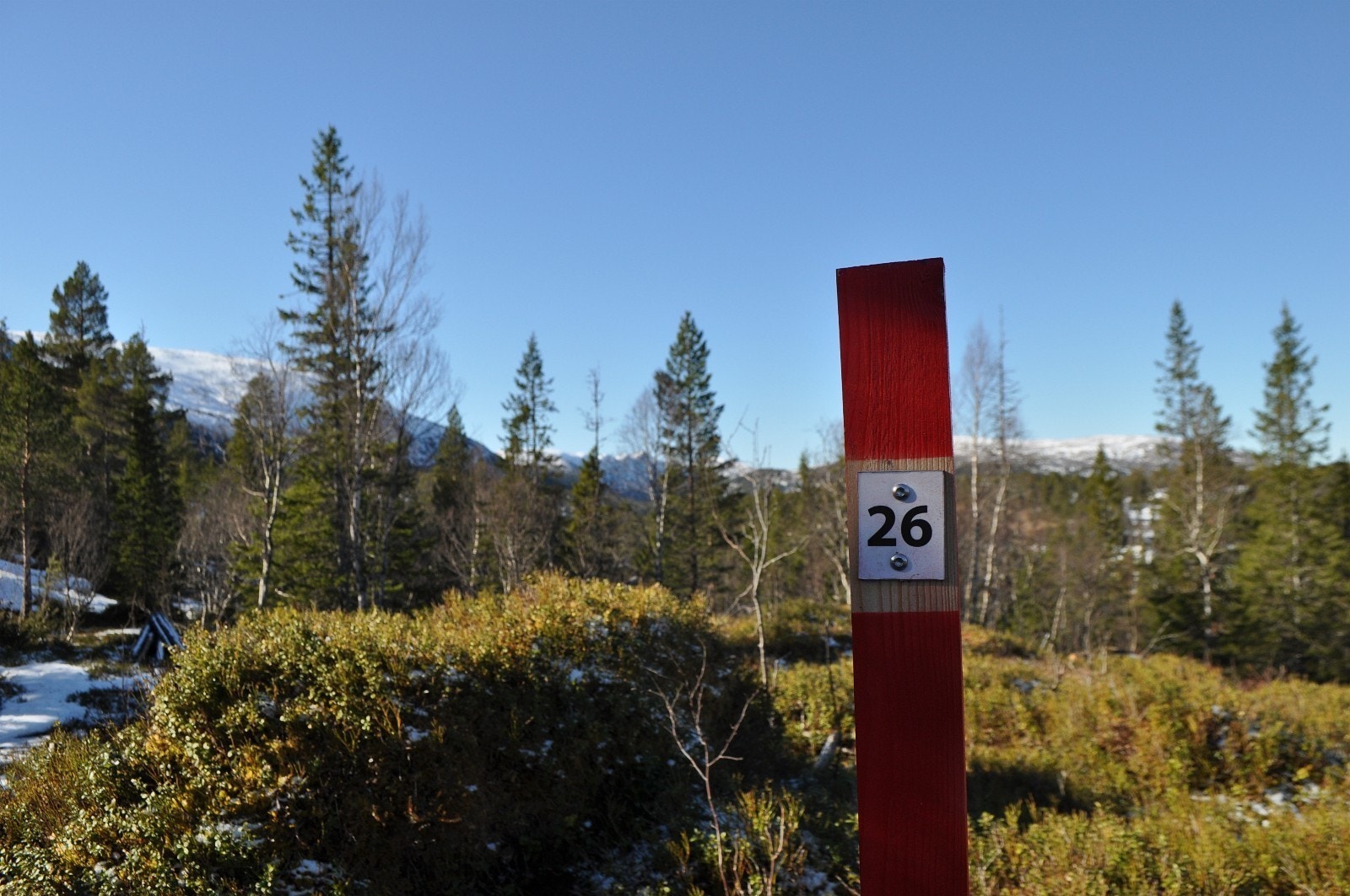 Tomt 26 ligger i en del av hytteområdet hvor de fleste tomtene har flott utsikt mot sør, sør-vest og fine åpninger i andre retninger Galleribilde