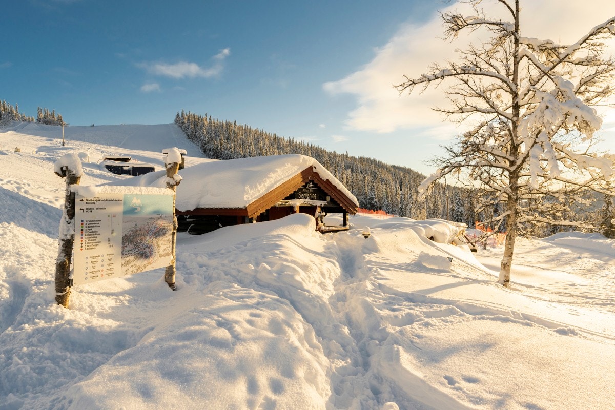 Spåtind alpinbakke Galleribilde