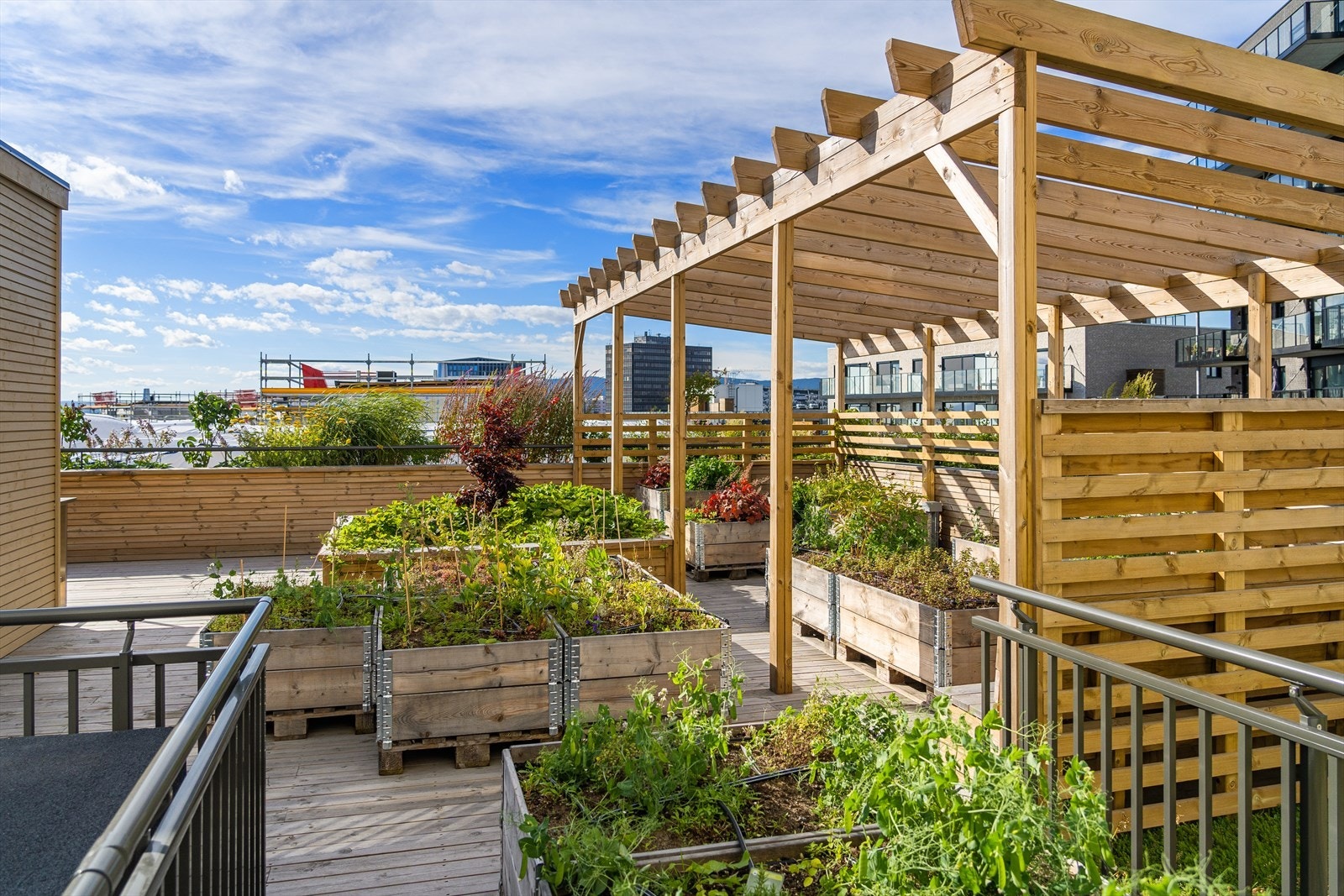 Grønn takterrasse med beplantning, pergola m.m. Galleribilde