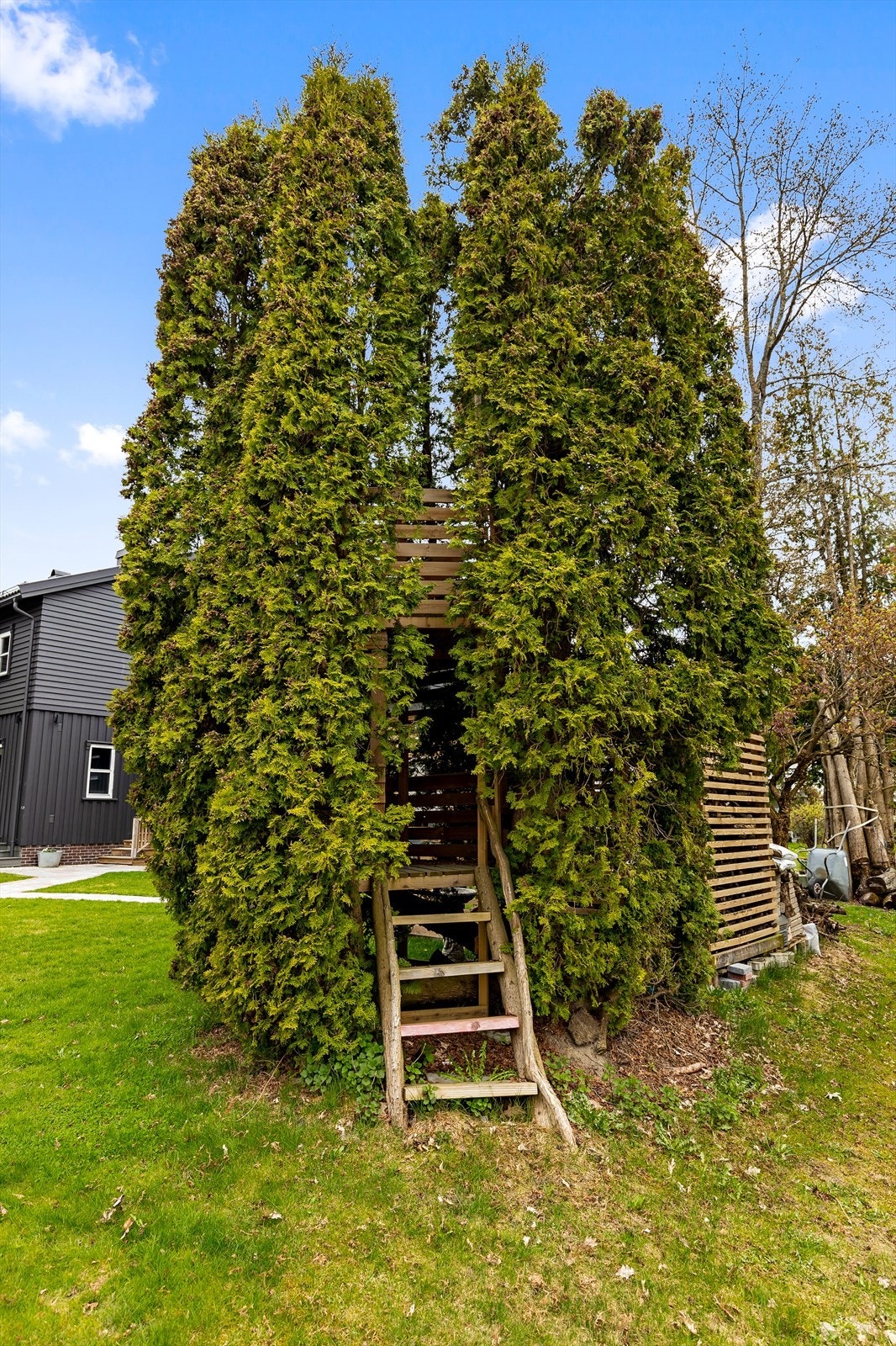 Lekehus for barna Galleribilde