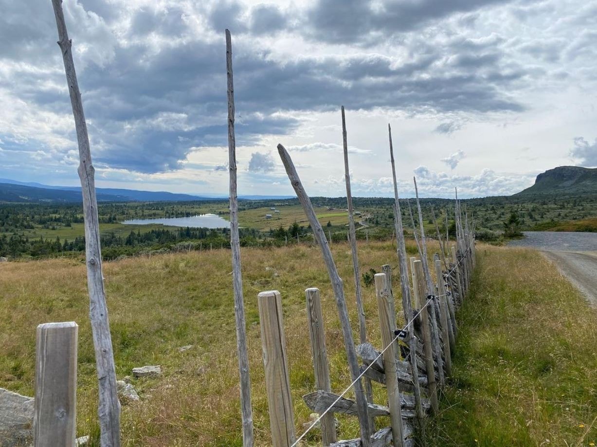 Skei er flott i alle årstider. Galleribilde