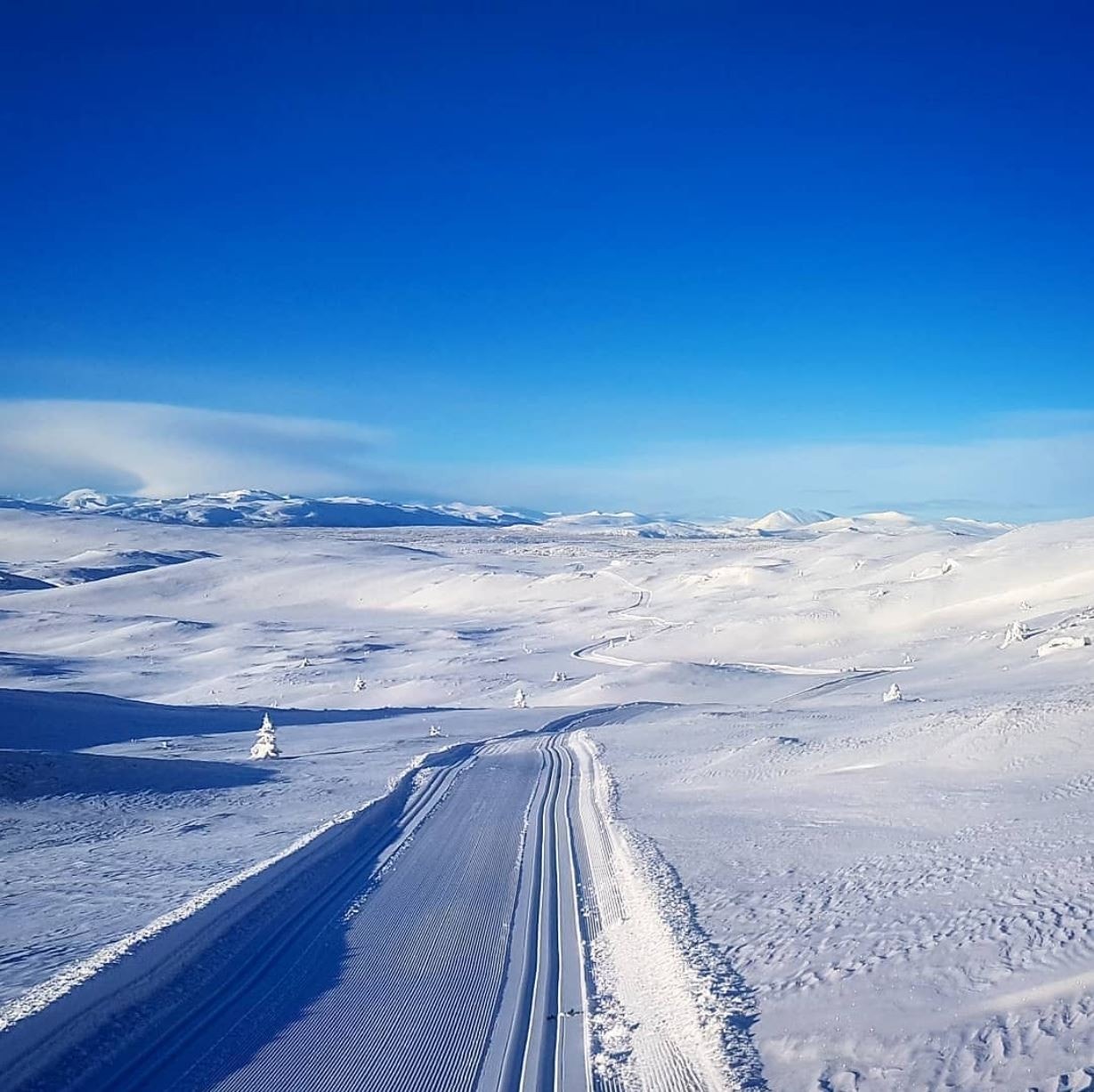 Endeløse skispor! Galleribilde
