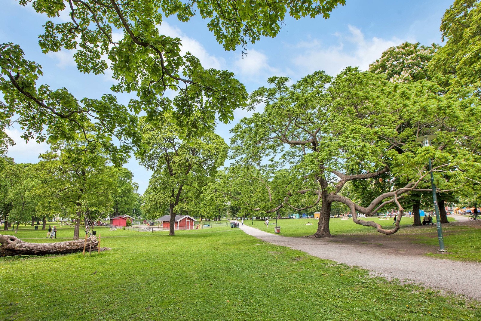 Sofienbergparken er også et populært alternativ på sommerstid! Galleribilde