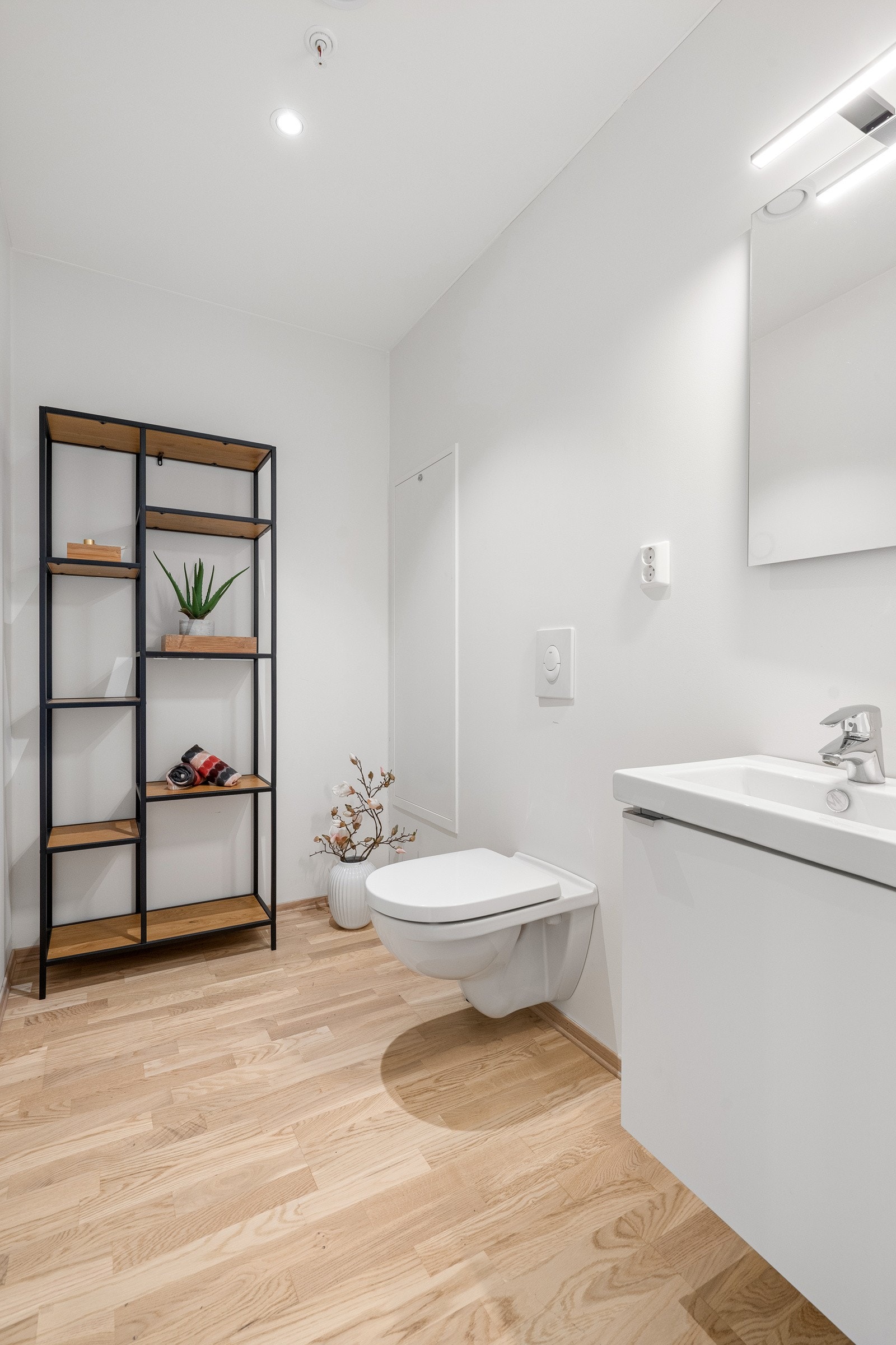 Gjestetoalett. Galleribilde