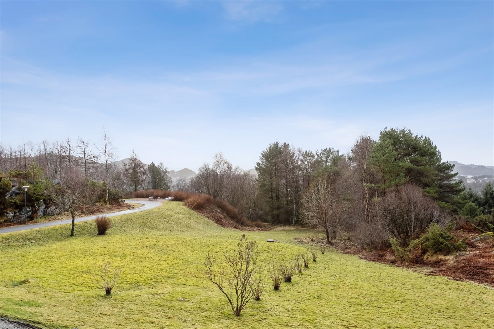 Utsikt fra altan mot deler av borettslagets grønne områder og skog utenfor der. Galleribilde