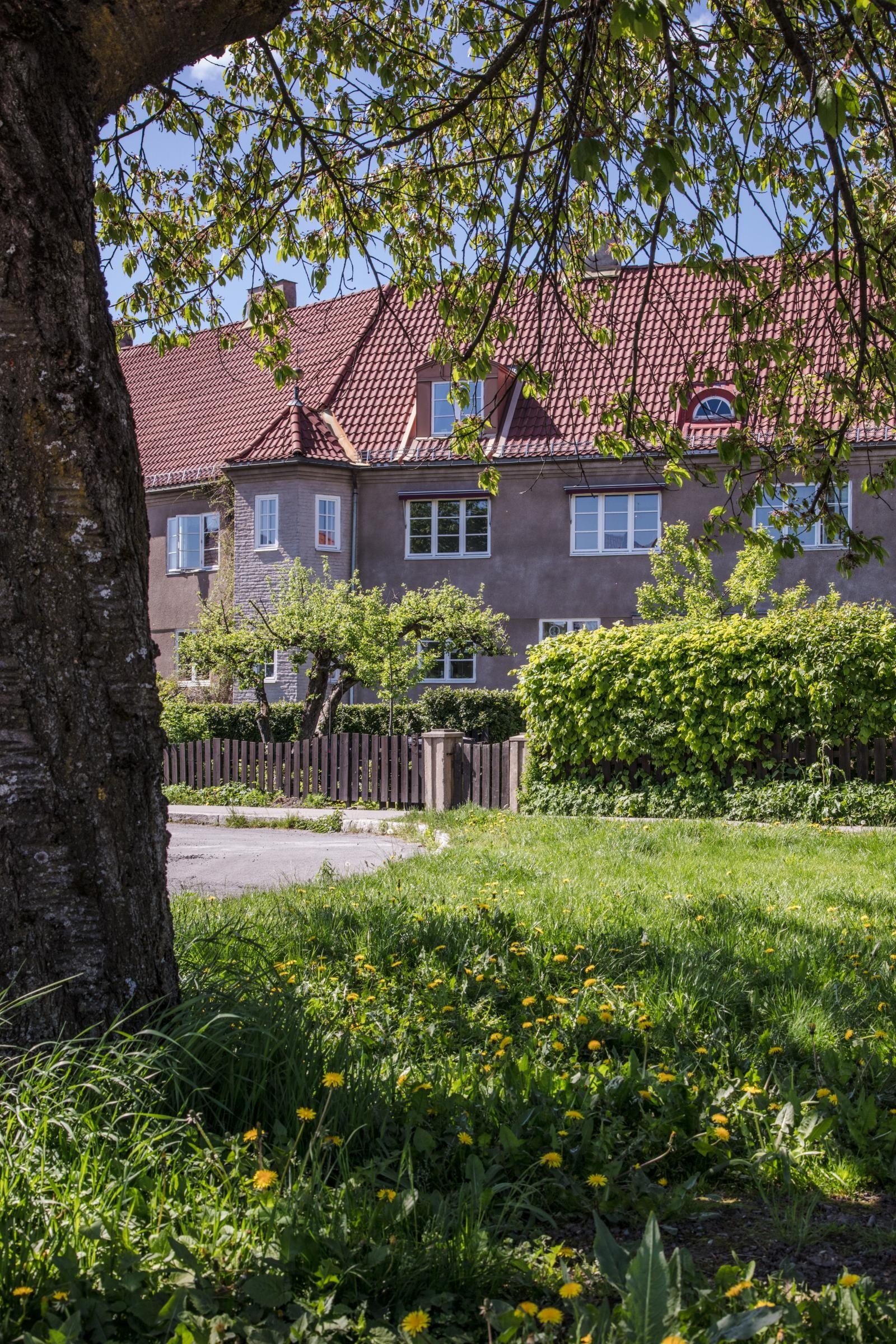 De grønne oasene og barnevennlige gatene, samt den bynære beliggenheten gjør Hagebyen til et attraktivt sted å bo. Galleribilde
