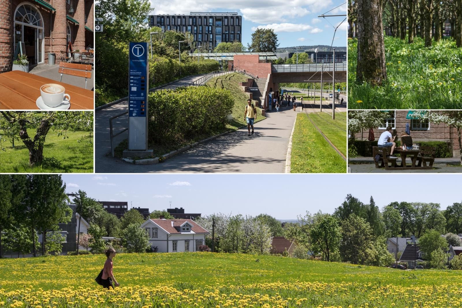 Sentralt beliggende med kun få minutters gange til Forskningsparken og Ullevål Stadion T-banestasjon. Kort spasertur til trikkestopp på John Colletts Plass. Galleribilde