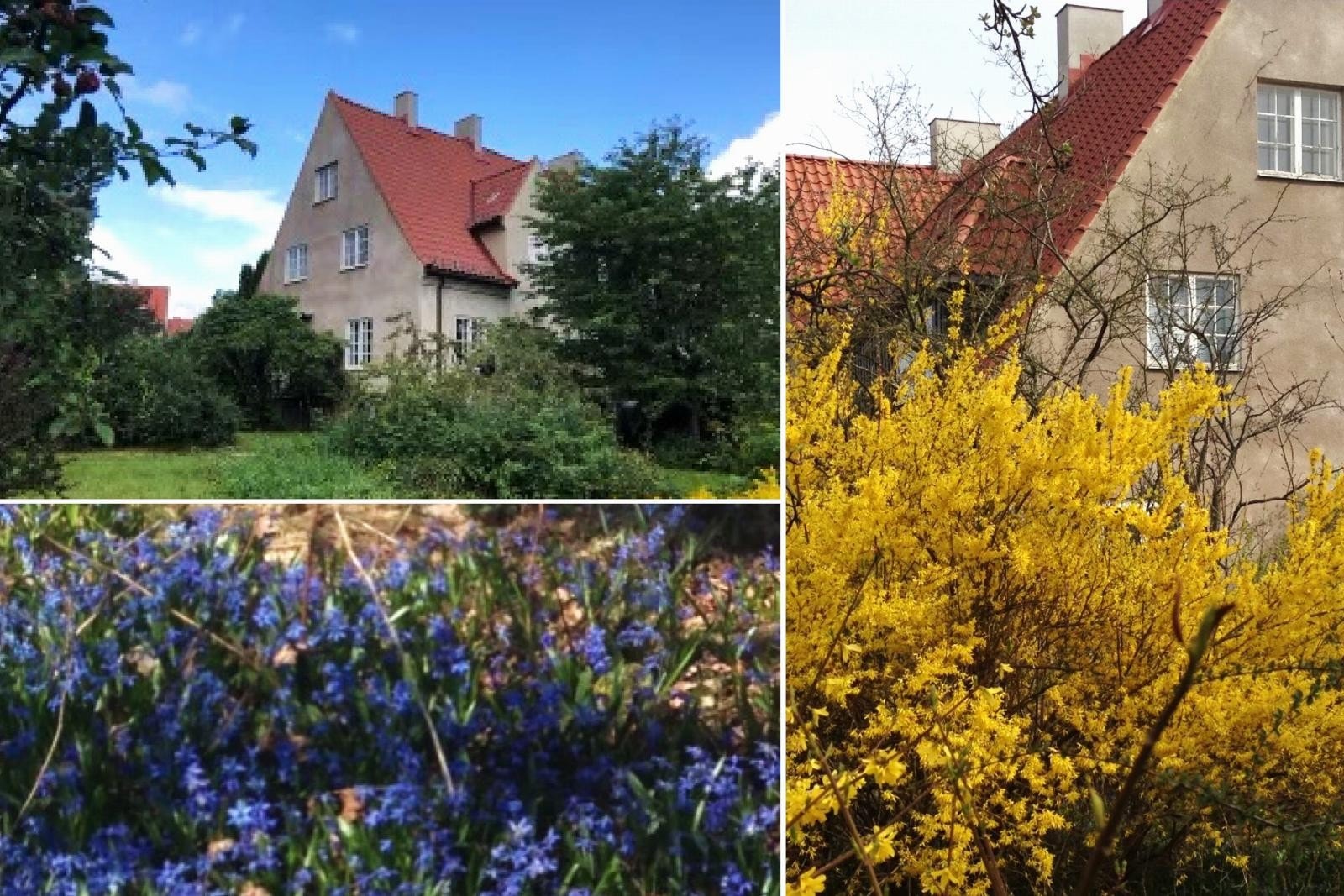 Velkommen til en vakker oase i Hagebyen! Galleribilde