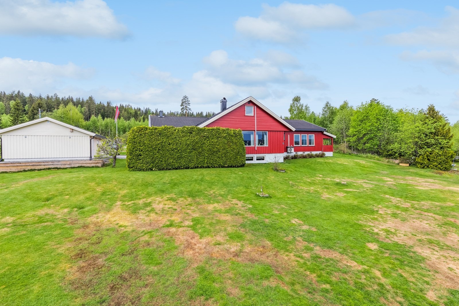 Sommerbilde av hagen. Galleribilde