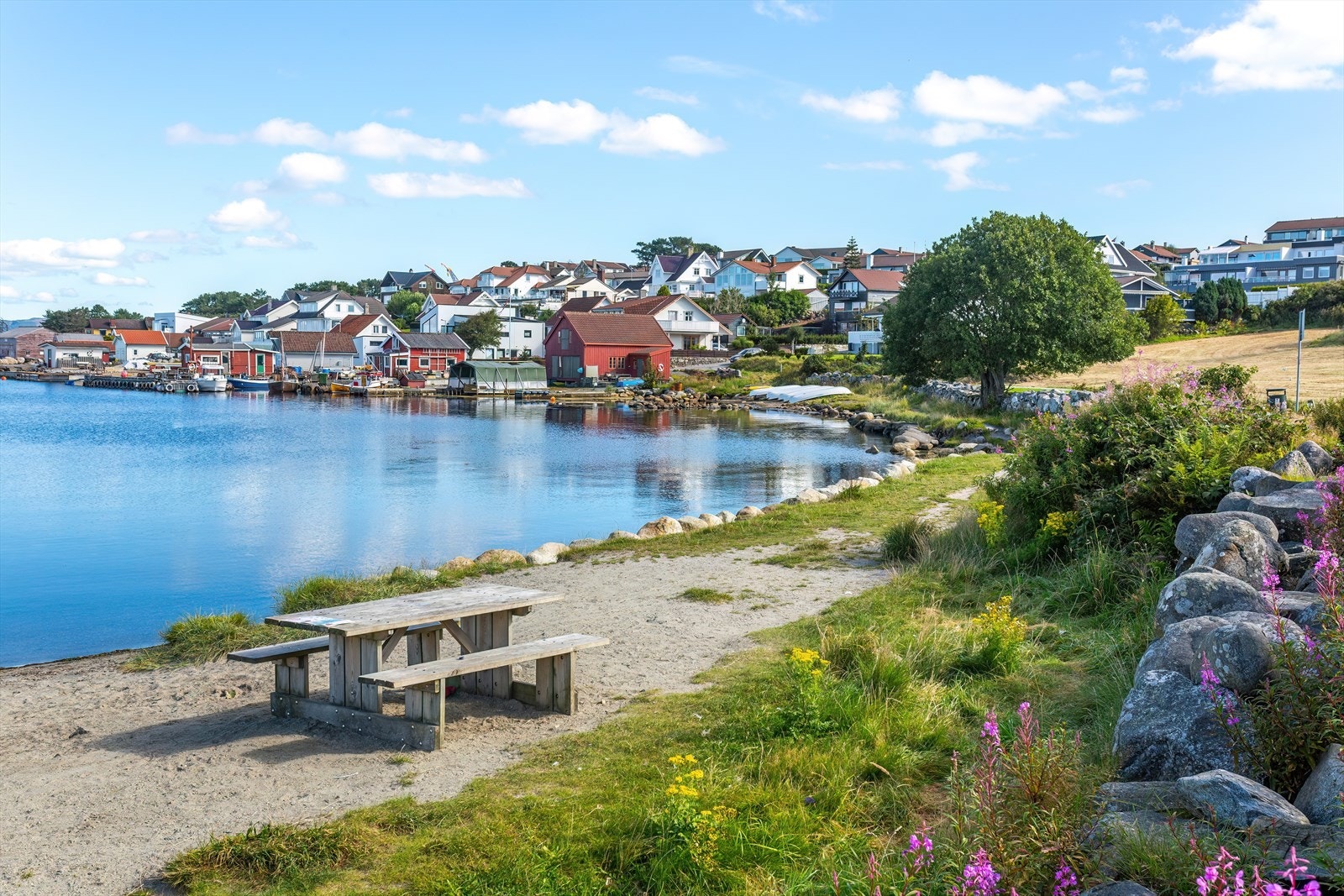 Nærområde Galleribilde
