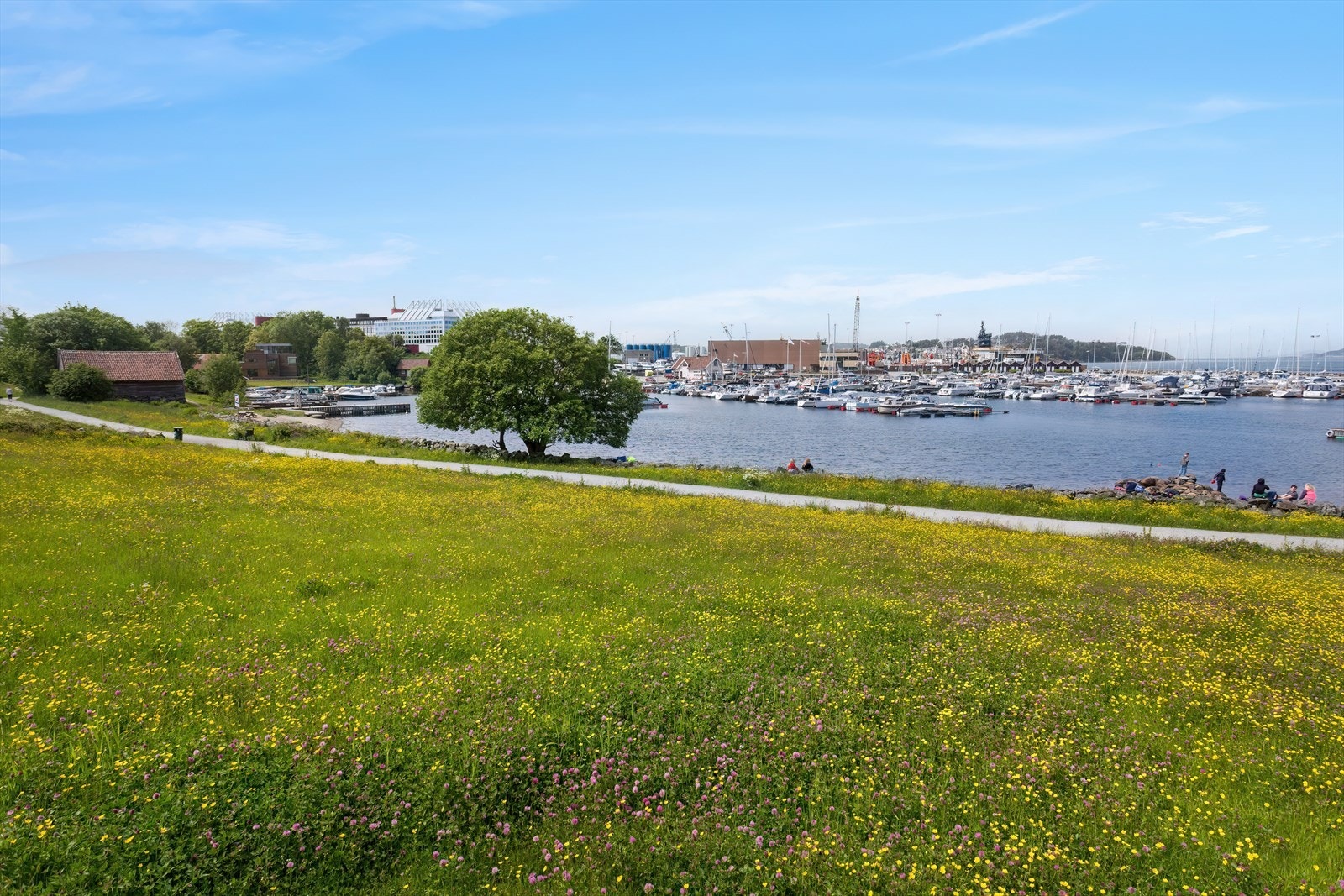 Nærområde Galleribilde