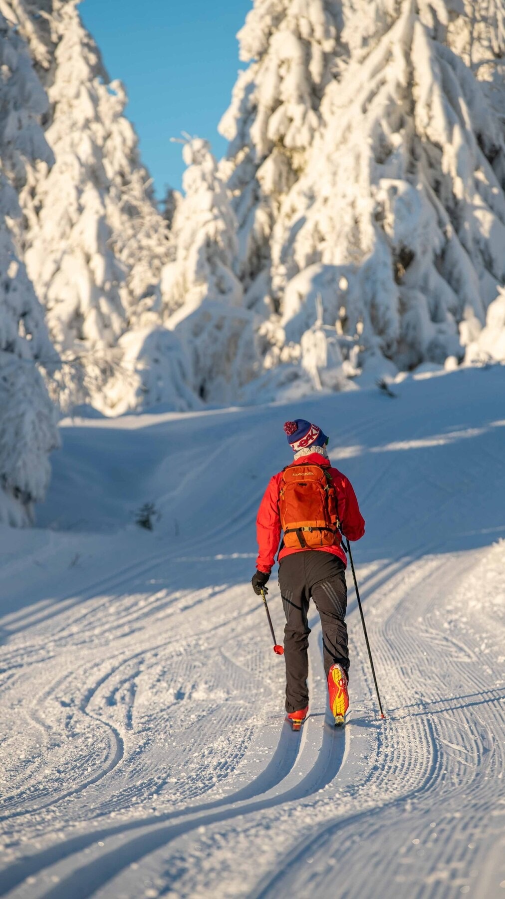 Skeikampen byr på flotte langrennsforhold, både på høgfjellet og i skogen Galleribilde