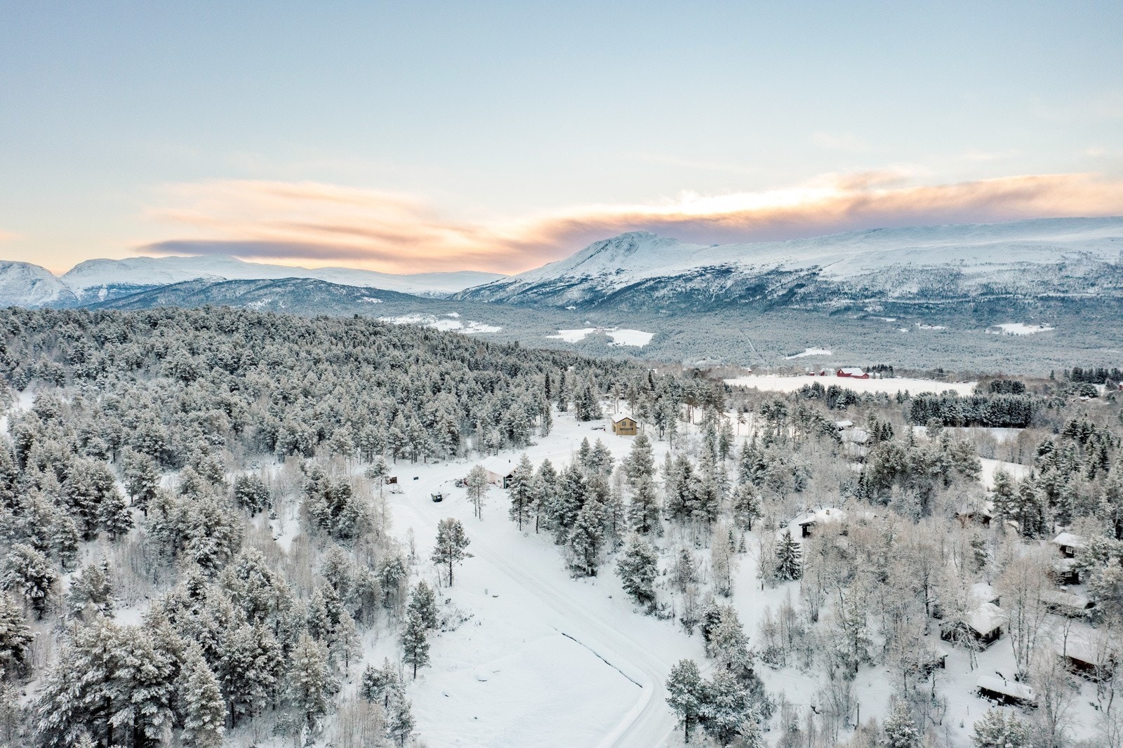 For et område! Galleribilde
