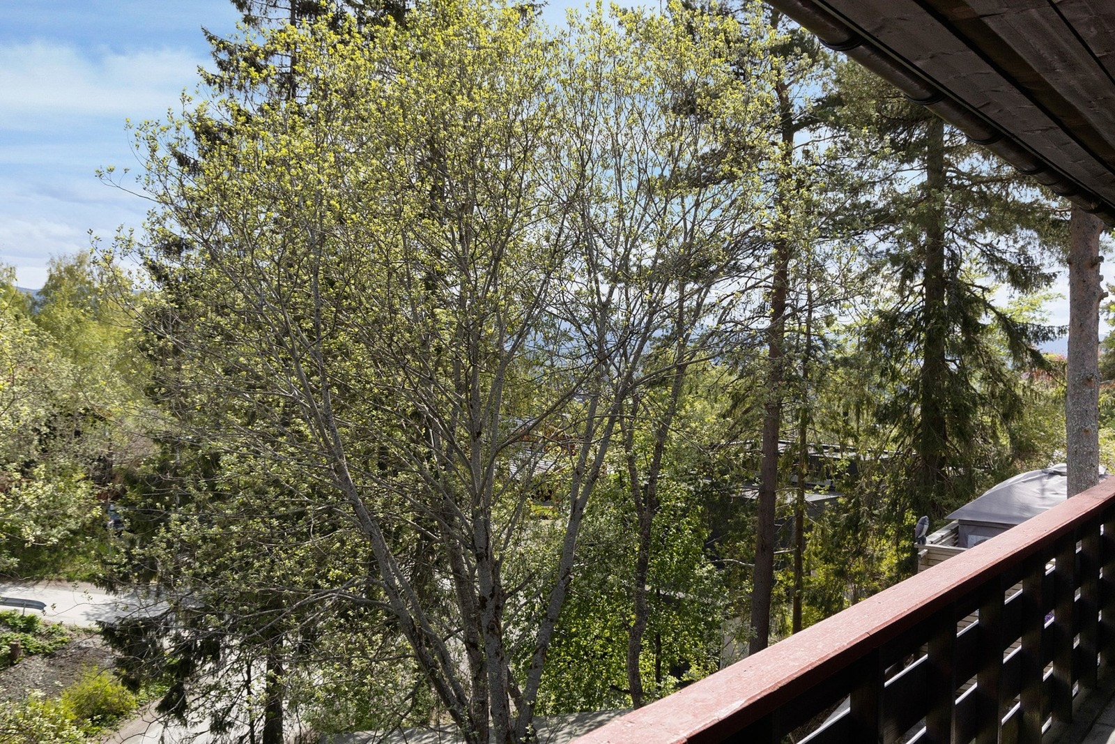 Terrasse mot sydøst Galleribilde