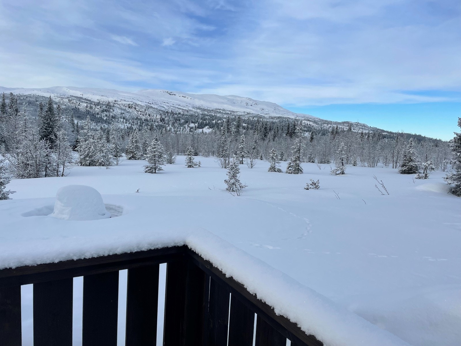 Tomten ligger på ca. 801 moh og har en flott utsikt og meget gode solforhold. Galleribilde