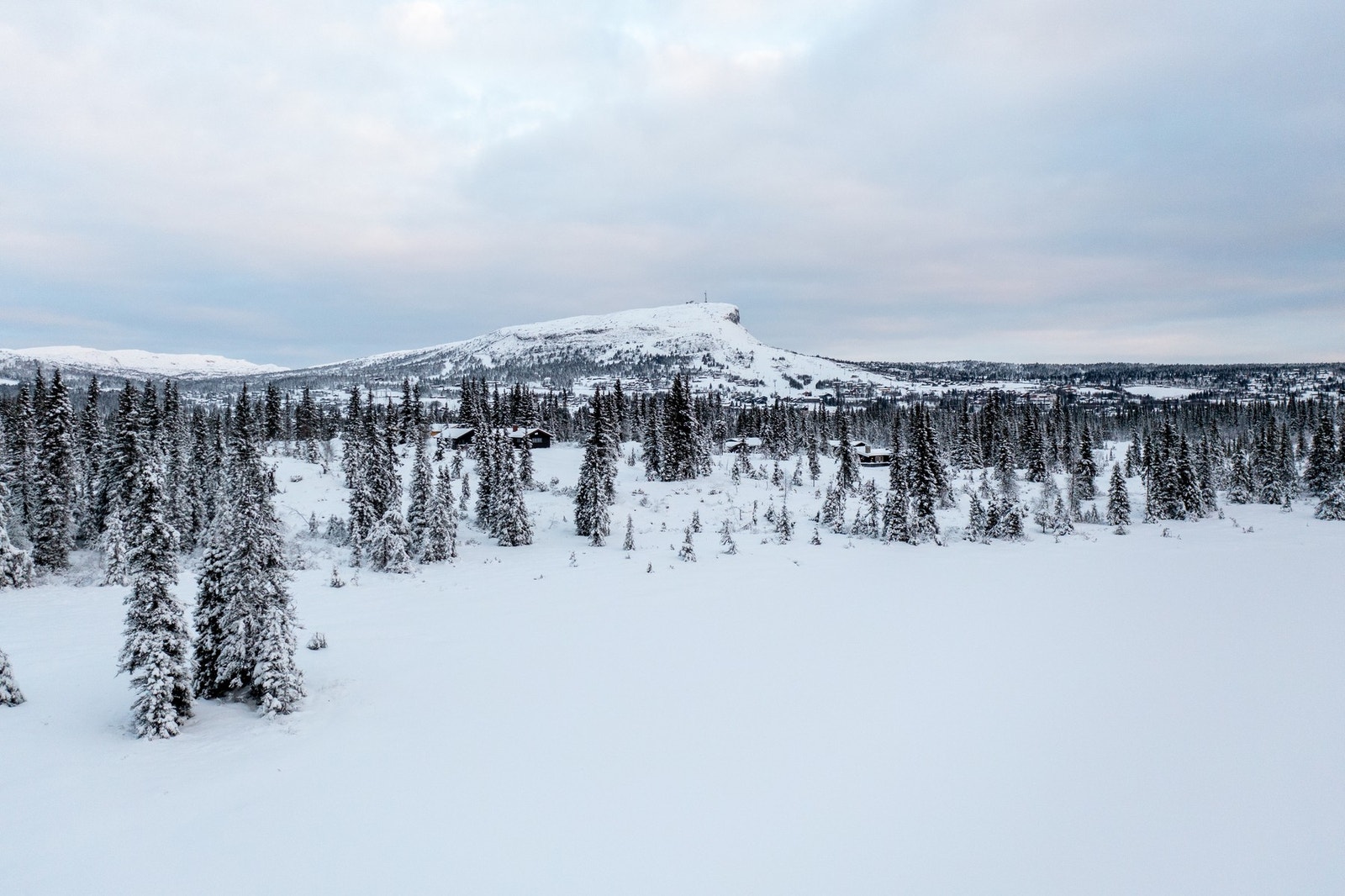 Fra Svarttjernet Galleribilde