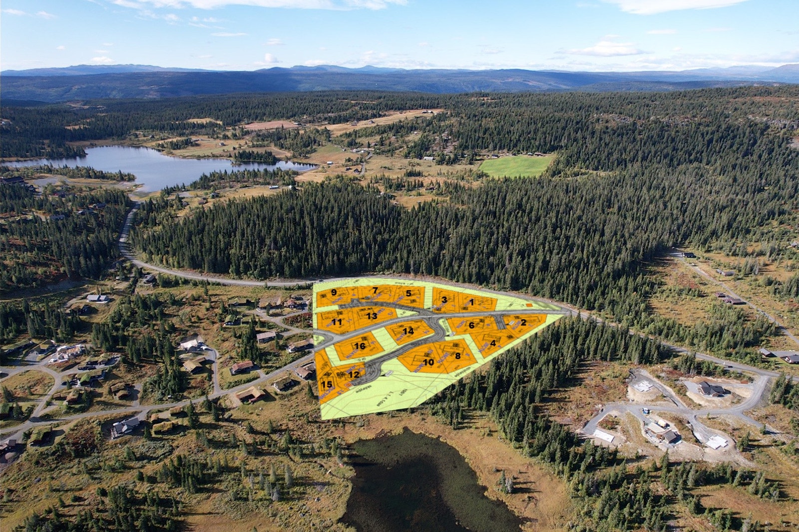 Tomtefeltet mot Austlid Galleribilde