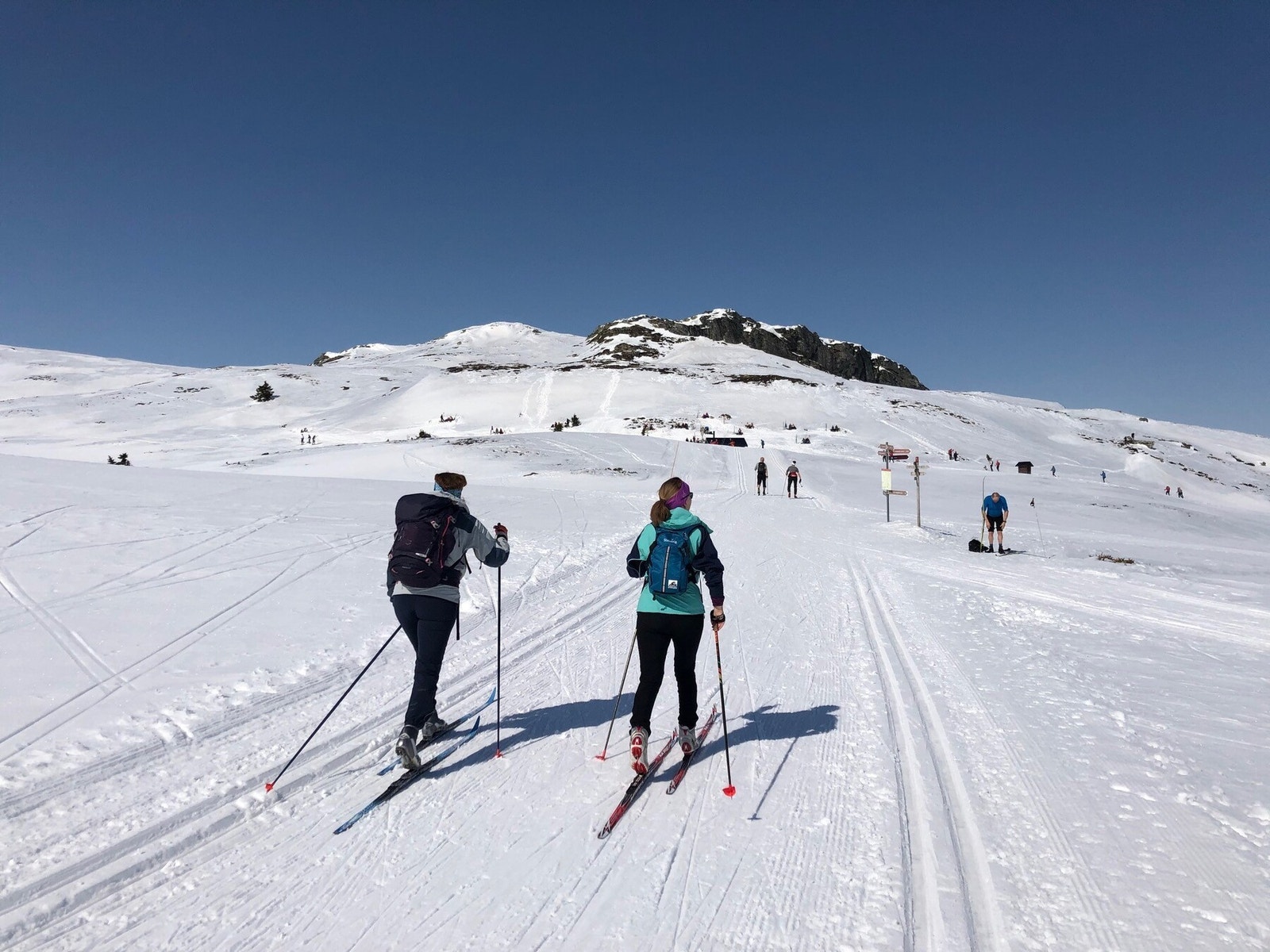 På vei til Skardbua, en flott tur innover fjellet Galleribilde