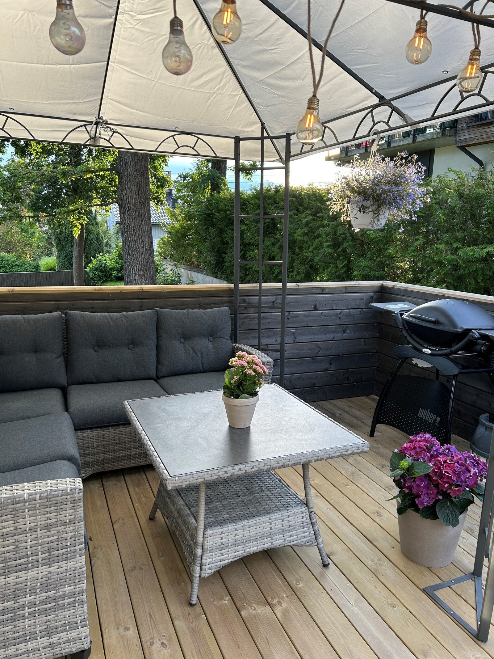 Fra terrassen sommerstid. Galleribilde