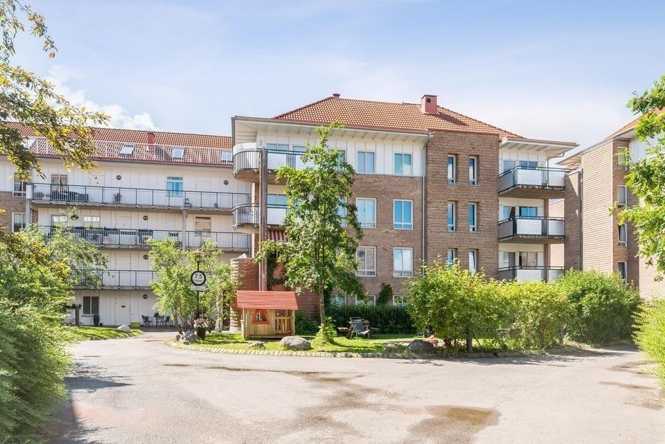 Bilde av bakgården om sommeren..jpg Galleribilde