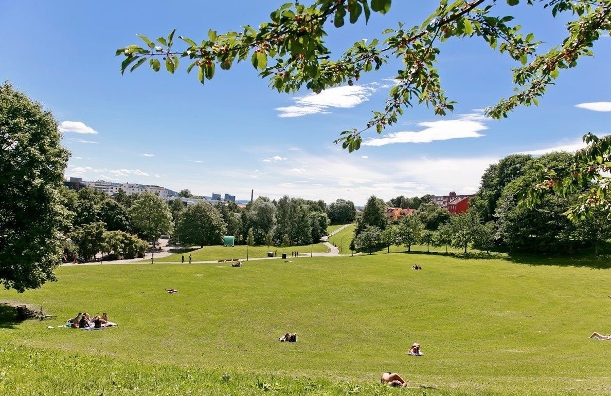Myraløkka. Galleribilde