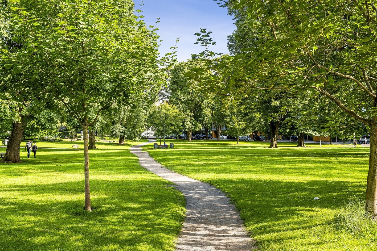 Sofienbergparken er nærmeste nabo. Galleribilde