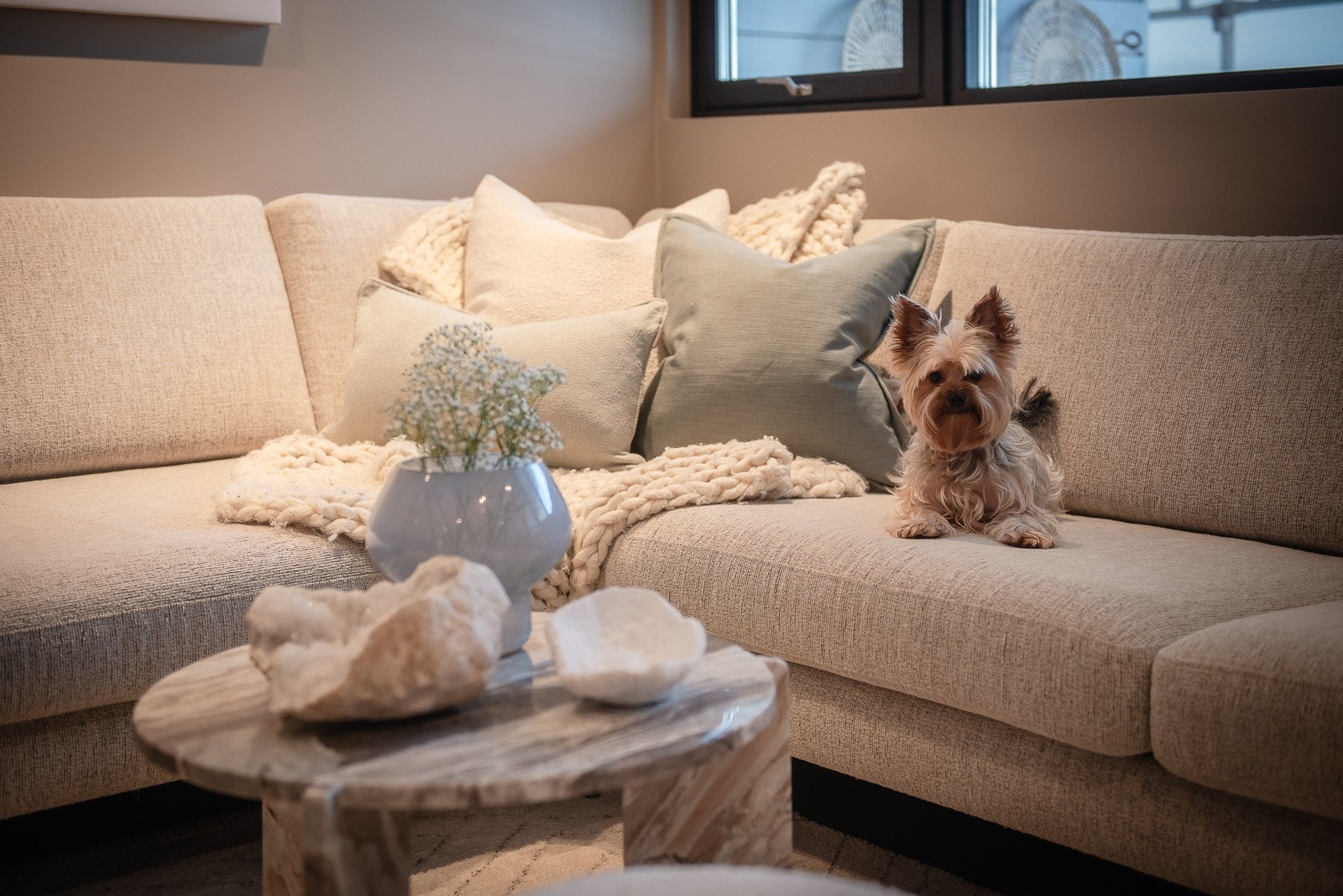 Det er tilatt med dyr i boligen således det ikke er sjeanse for naboene i blokken Galleribilde