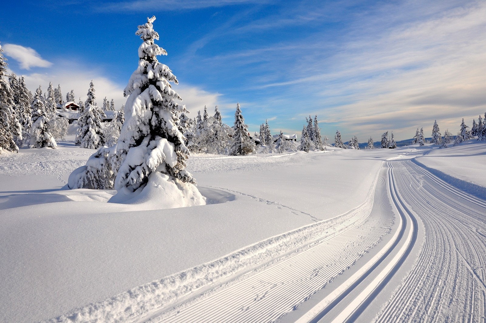 Her kan du nyte 350 km køfrie høykvalitetsløyper. Galleribilde